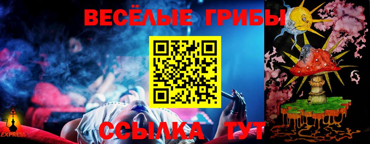 Псилоцибиновые грибы GOLDEN TEACHER Ижевск