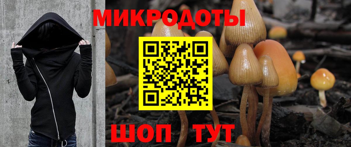 Псилоцибиновые грибы GOLDEN TEACHER  Вход с VPN  Псилоцибиновые грибы Cubensis  Ижевск 